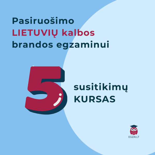 5 susitikimų lietuvių kalbos pamokų kursas brandos egzaminų pasiruošimui