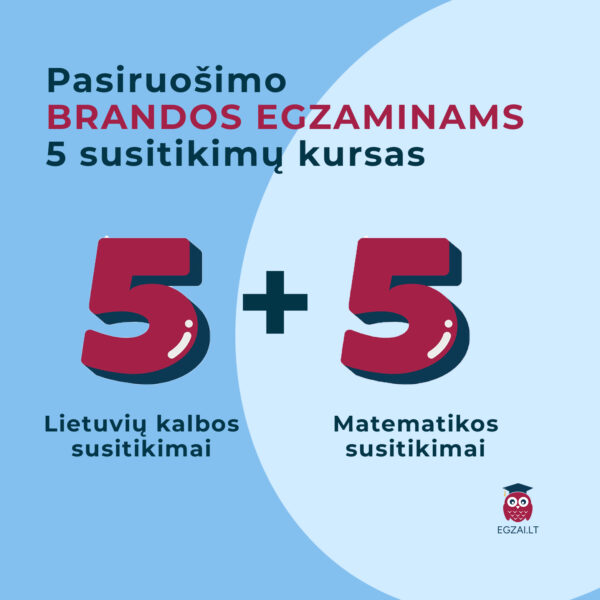 5 susitikimų lietuvių kalbos ir matematikos pamokų kursas