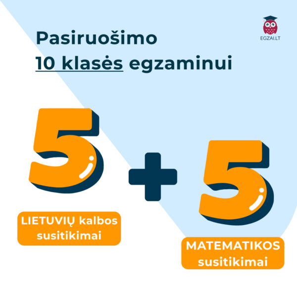 5 susitikimų lietuvių kalbos ir matematikos pamokų kursas 10 klasei