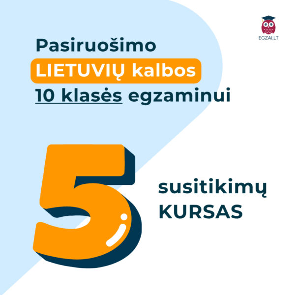 5 susitikimų lietuvių kalbos pamokų kursas 10 klasei