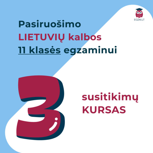 3 susitikimų lietuvių kalbos pamokų kursas 11 klasei