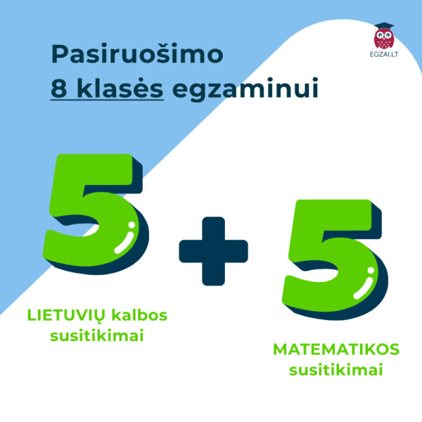 5 susitikimų lietuvių kalbos ir matematikos pamokų kursas 8 klasei