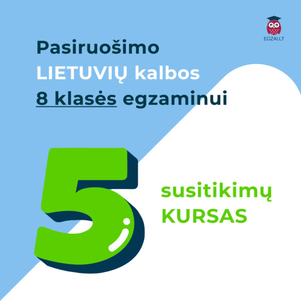 5 susitikimų lietuvių kalbos pamokų kursas 8 klasei